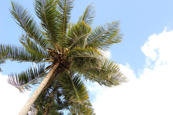 February 19: Look Up