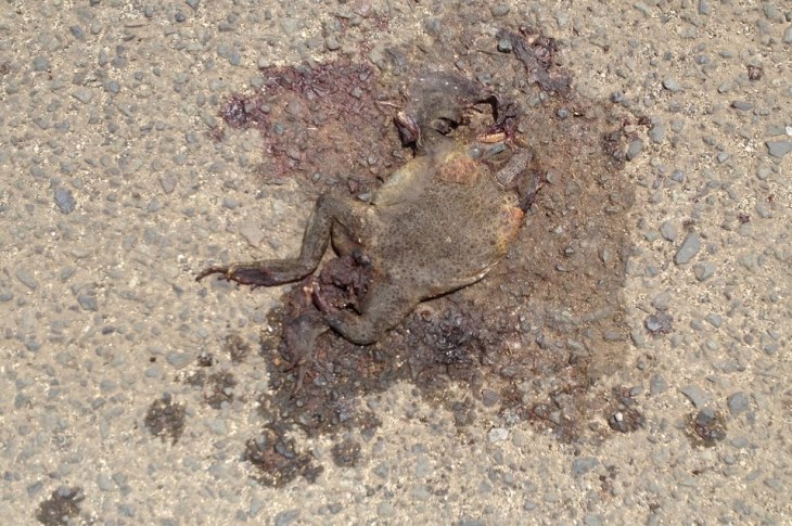 April 28: Harsh Light