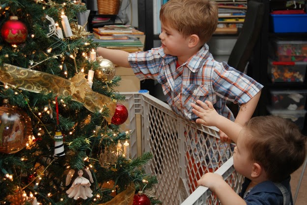 November 28: My life