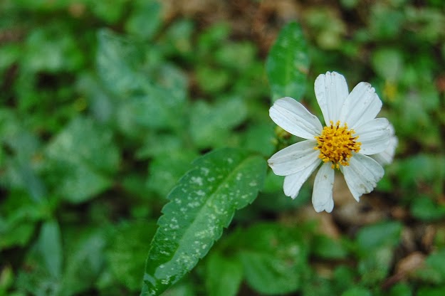 November 9: Challenges